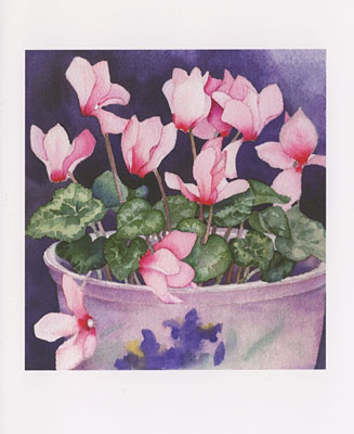 Cyclamen watercolor note cards
