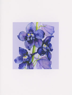 Delphinium watercolor note cards