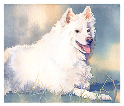 Waiting for Snow watercolor note cards